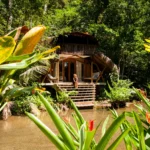 Accommodaties in Samana