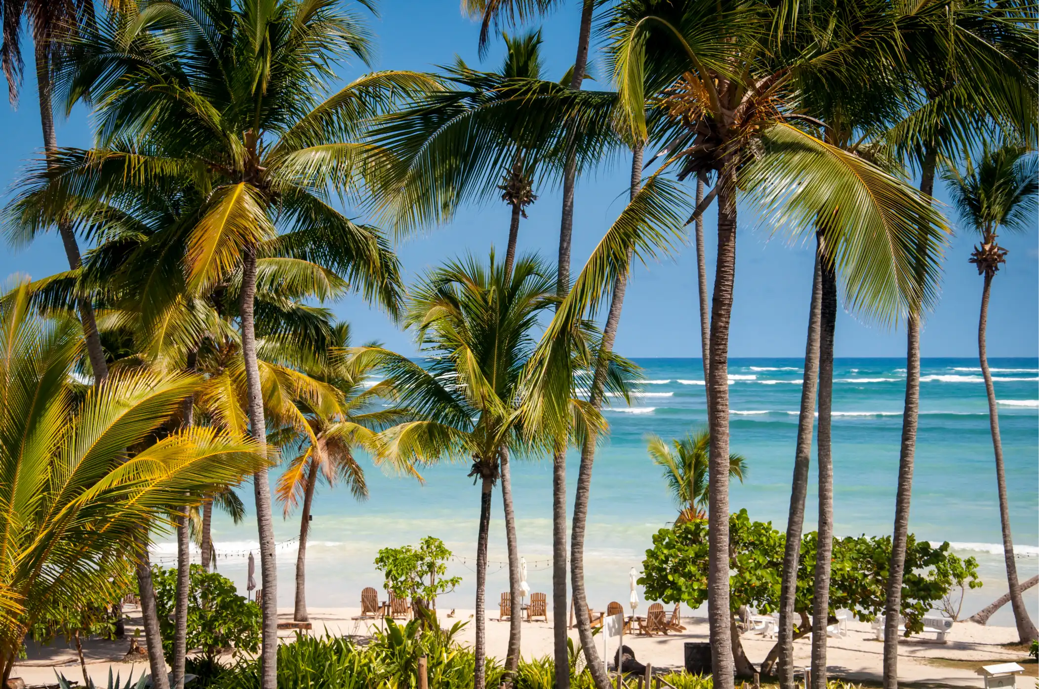 Accommodaties in Samana