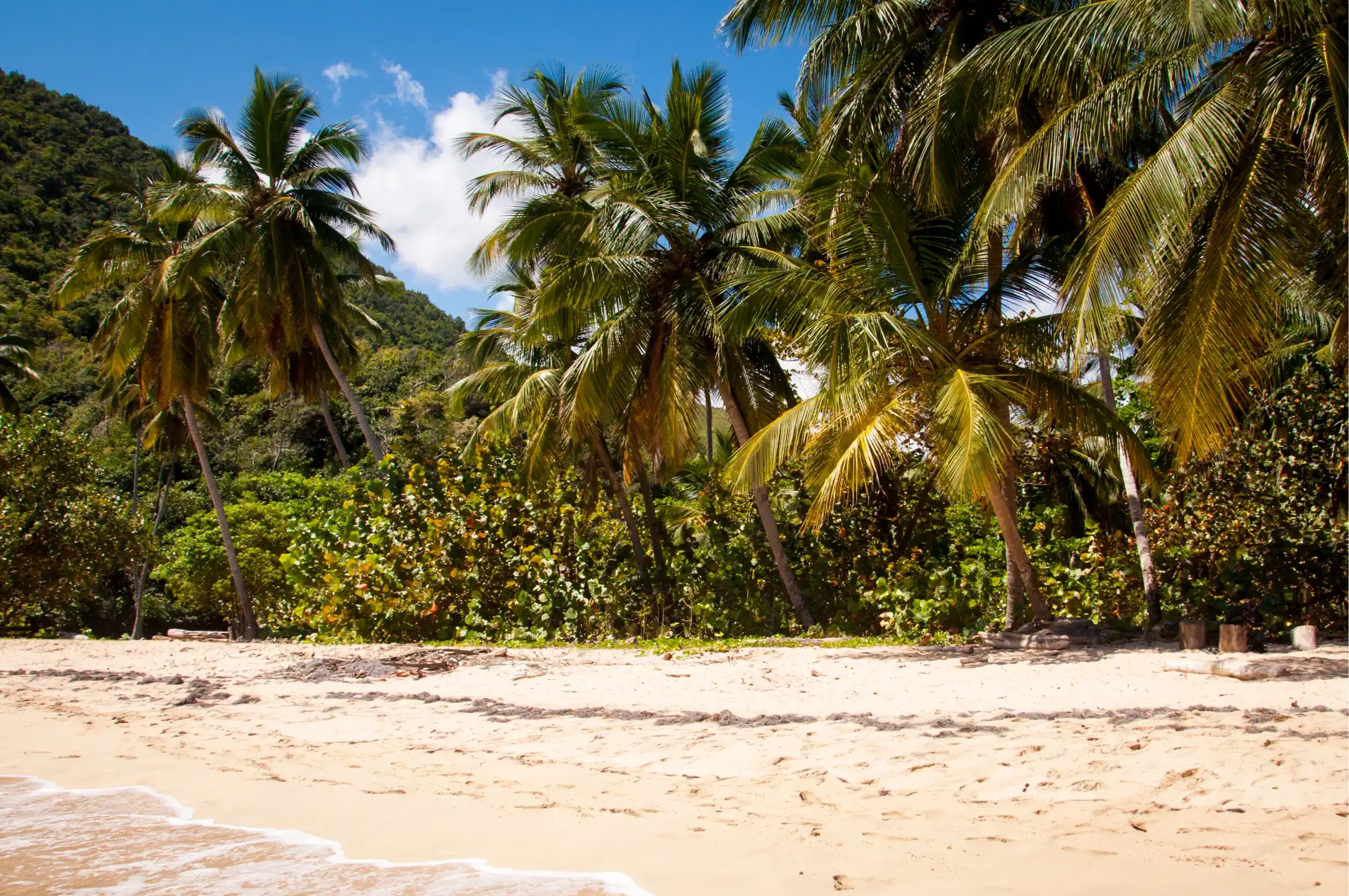 Mooiste stranden van Samana