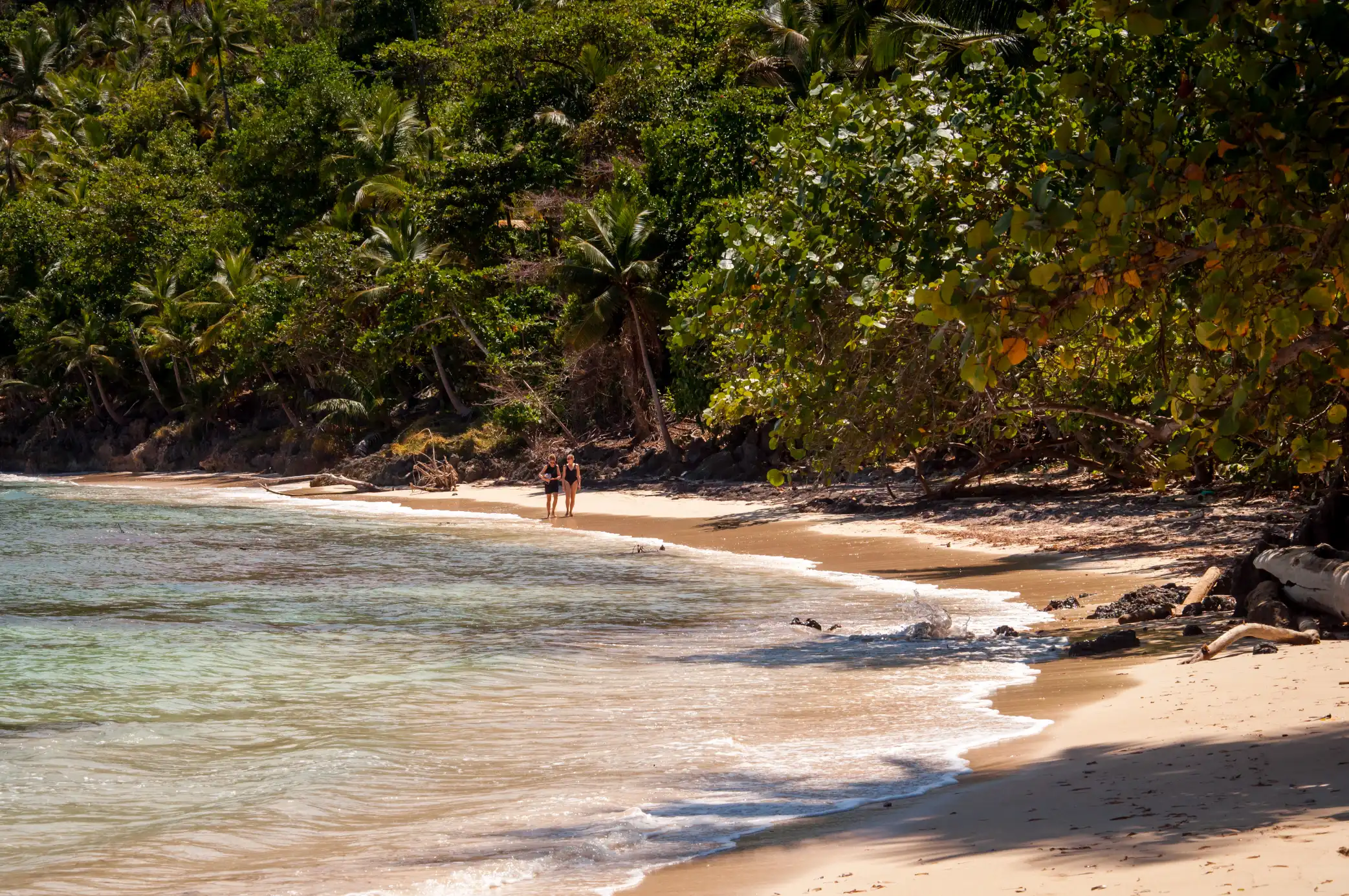Mooiste stranden van Samana