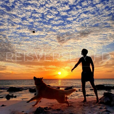 Beach sunset Bonaire