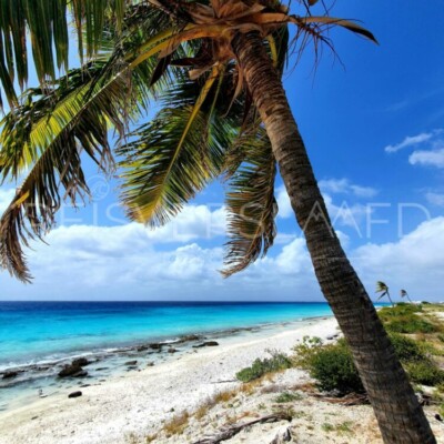 Pink Beach Bonaire