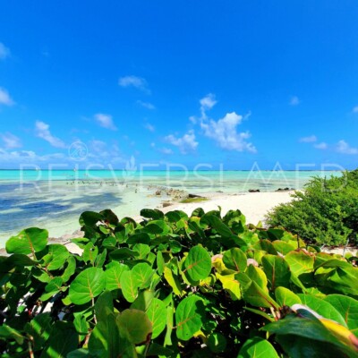 Sorobon Bonaire